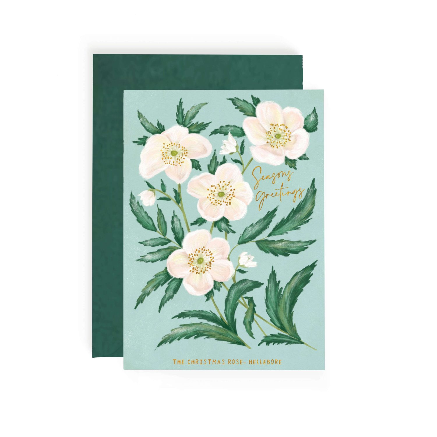 christmas rose card